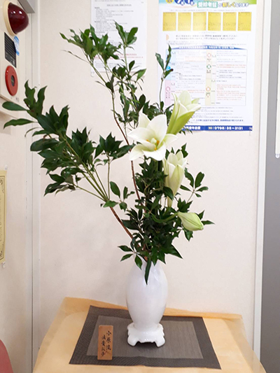 生け花 生け花