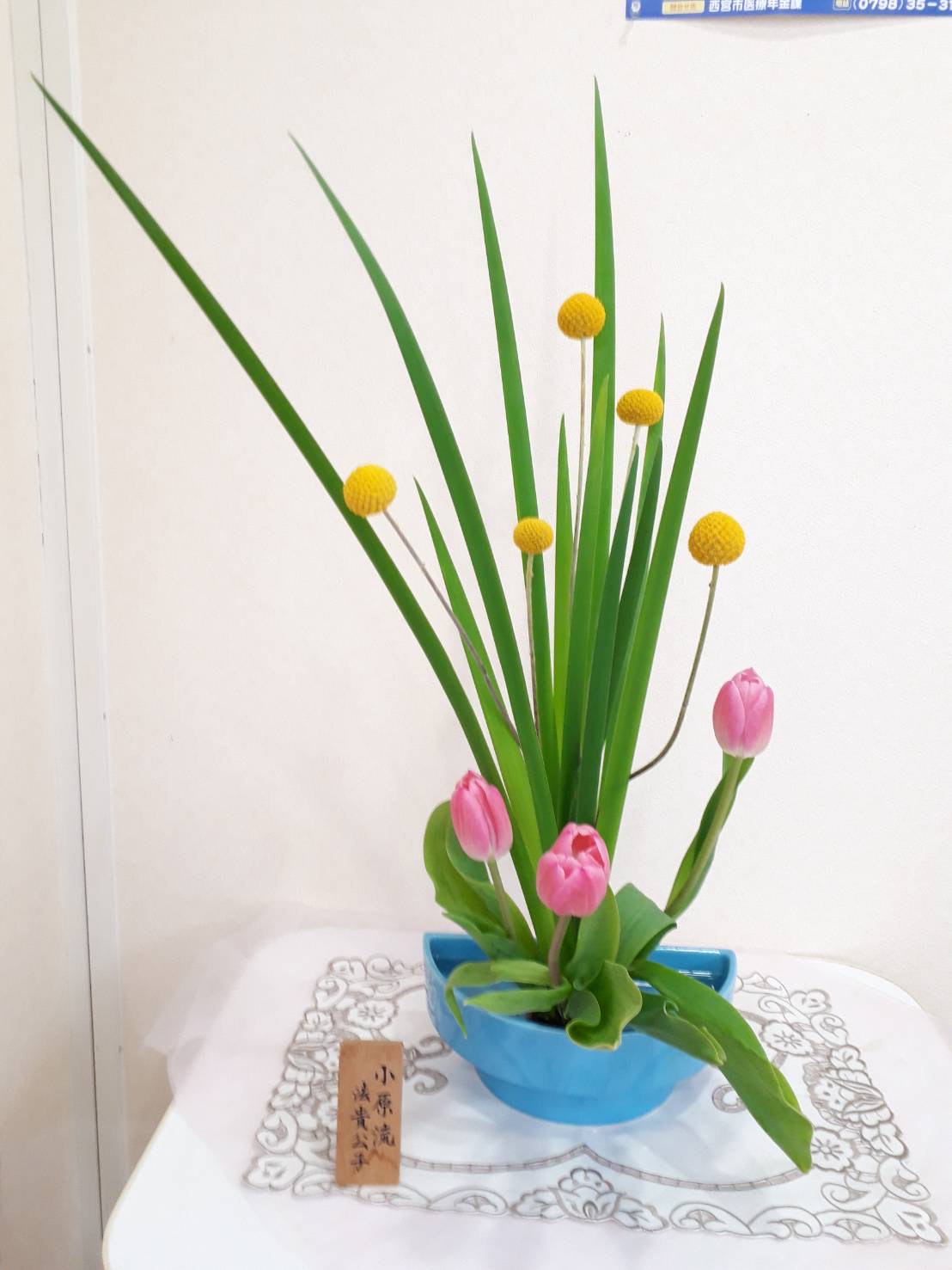 生け花 生け花