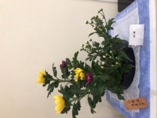 生け花 生け花