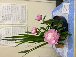 生け花 生け花