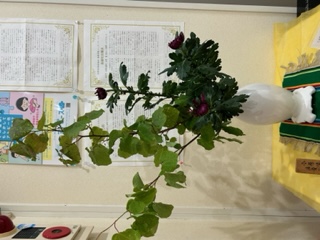 生け花 生け花