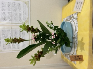 生け花 生け花