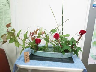 生け花 生け花