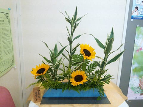 生け花 生け花