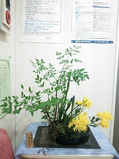 生け花 生け花