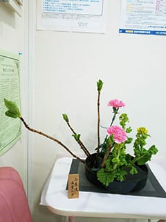 生け花 生け花