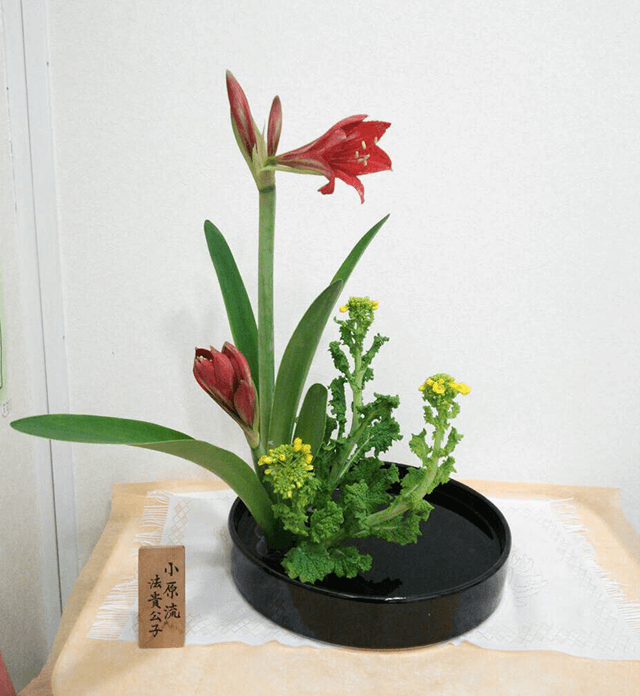 生け花 生け花