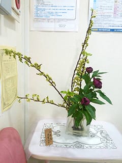 生け花 生け花