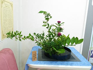 生け花 生け花