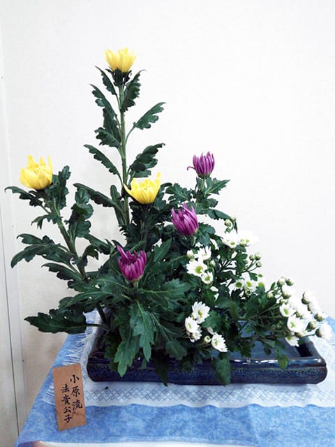 生け花 生け花