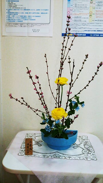 生け花 生け花