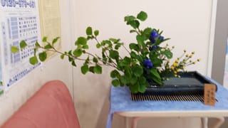 生け花 生け花
