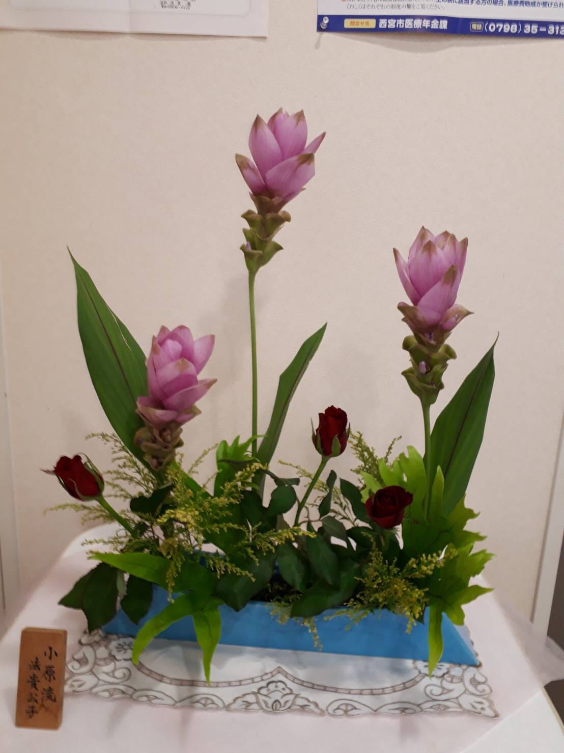 生け花 生け花