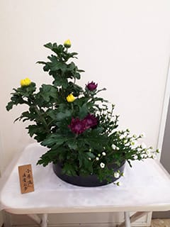 生け花 生け花