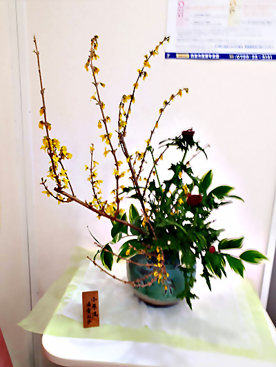 生け花 生け花
